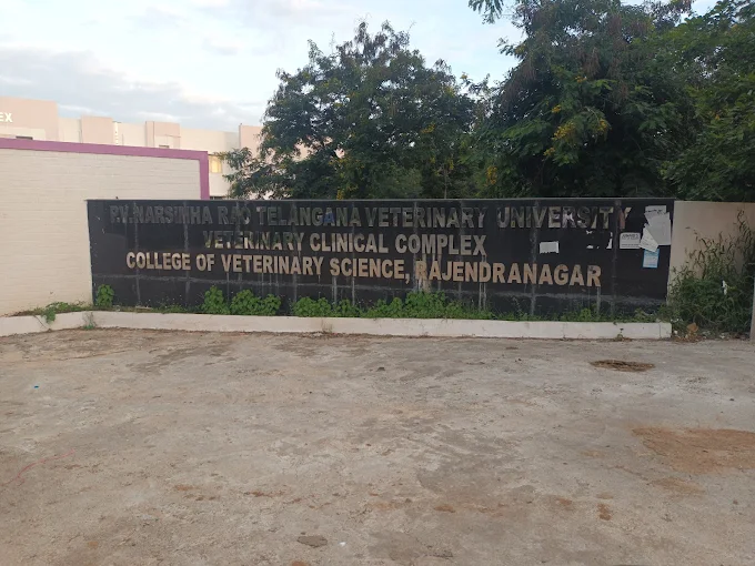 College Of Veterinary Science and Veterinary Hospital, Budwel - Pet Clinic in Budwel, Hyderabad