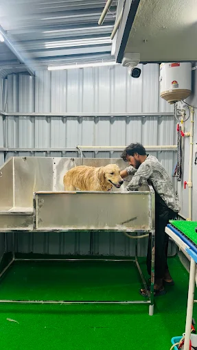 Paws & Hugs Animal Care Clinic Veterinary Clinic in Kamalanagar, Hyderabad — Facility Photo 7