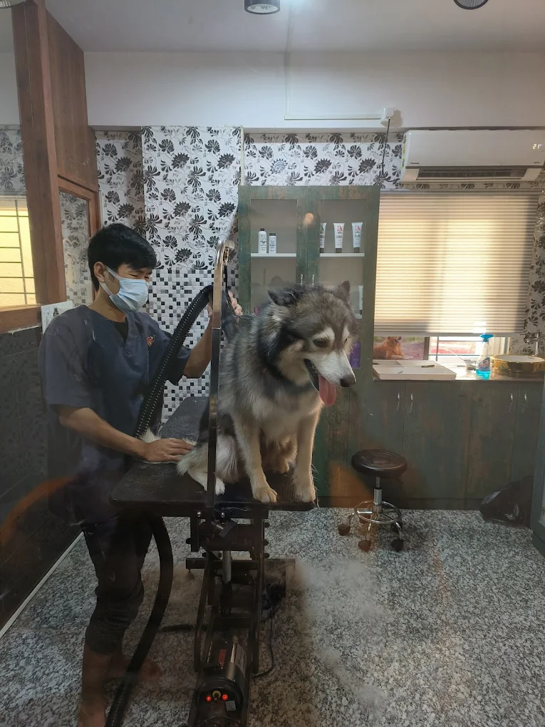 Annmees Veterinary Hospital Veterinary Clinic in Naagarabhaavi, Bengaluru — Facility Photo 8