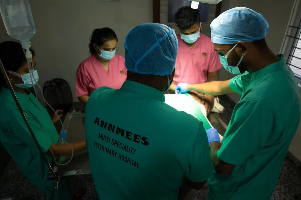 Annmees Veterinary Hospital Veterinary Clinic in Naagarabhaavi, Bengaluru — Facility Photo 9