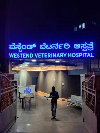 Westend Veterinary Hospital Veterinary Clinic in Mahalakshmipuram, Bengaluru — Facility Photo 7