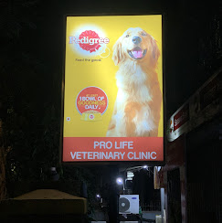 Prolife Veterinary Clinic - Pet Clinic in Sion, Mumbai