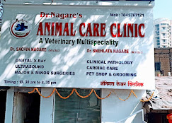 Dr. Nagare's Animal Care Clinic - Pet Clinic in Malad East, Mumbai