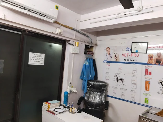 Dr Pet Vet on Call, Bandra East Veterinary Clinic in Bandra East, Mumbai — Facility Photo 7