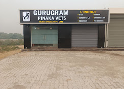 Gurugram Pinaka Vets - Pet Clinic in Sector 108, Gurugram