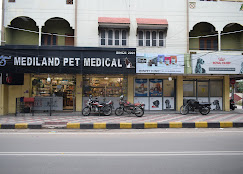 Monpet's Clinic - Pet Clinic in Vijaya Nagar Colony, Hyderabad