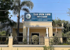 The Fur Life Pet Care - Pet Clinic in Sector 46, Gurugram