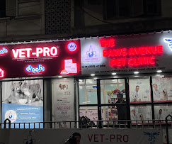 The Paws Avenue, Alipore - Pet Clinic in Alipore, Kolkata
