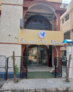 Divine Pet Clinic, Tangra - Pet Clinic in Tangra, Kolkata