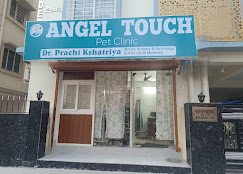 Angel Touch Pet Clinic, New Town - Pet Clinic in New Town, Kolkata