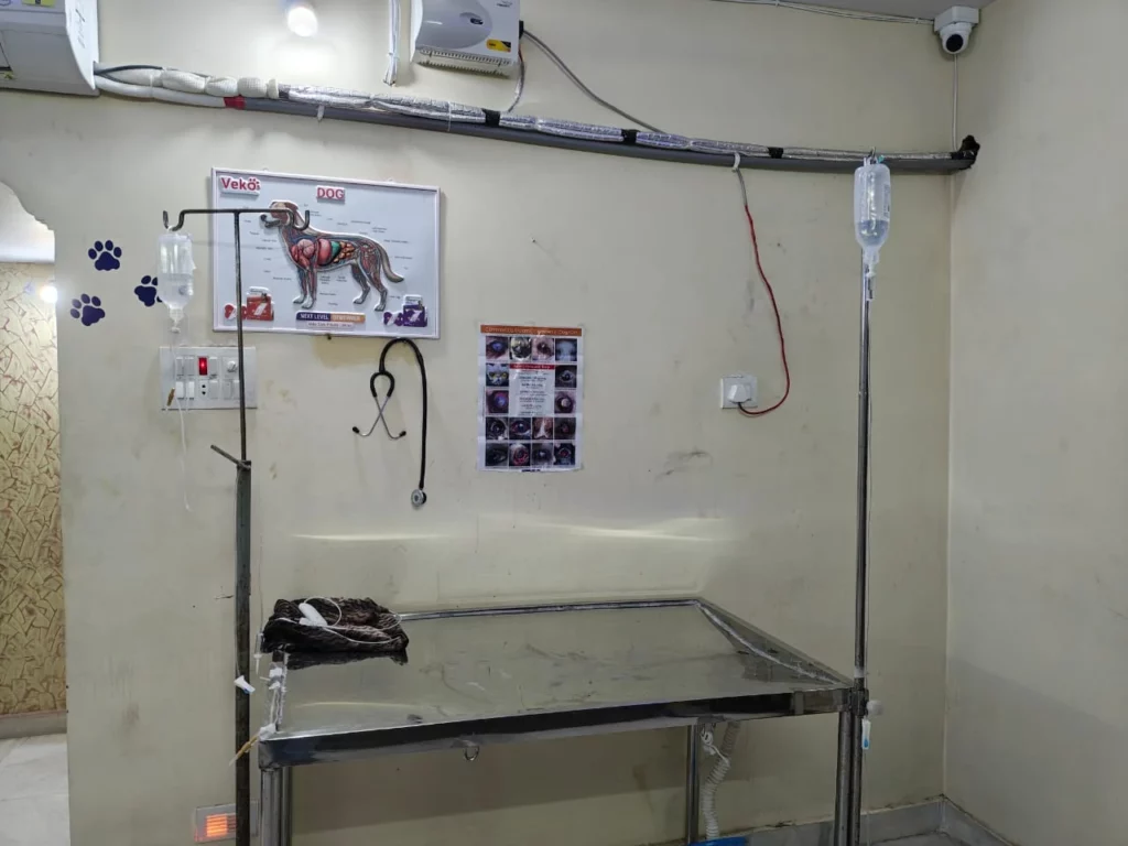 Pet Med Galaxy Veterinary Clinic Veterinary Clinic in Old Malakpet, Hyderabad — Facility Photo 8