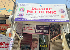 Deluxe Pet Clinic - Pet Clinic in Sector 22, Gurugram