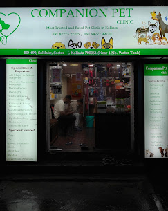 Companion Pet Clinic - Pet Clinic in Bidhannagar, Kolkata
