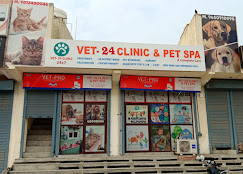Vet-24 Clinic & Pet Spa, Sector 94 - Pet Clinic in Sector 94, Gurugram