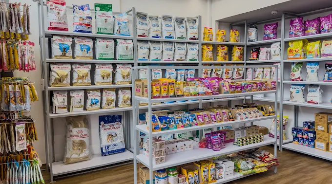 Vetic Pet Clinic, Sector 82A Veterinary Clinic in Sector 82A, Gurugram — Facility Photo 6