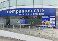 Companion Care Pet Clinic and Diagnostic - Pet Clinic in Sector 109, Gurugram