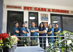 Dr. Synghal Pet Care & Surgery - Pet Clinic in Sector 43, Gurugram