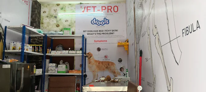 Hanvey’s Anicarepet Clinic Veterinary Clinic in L. B. Nagar, Hyderabad — Facility Photo 3