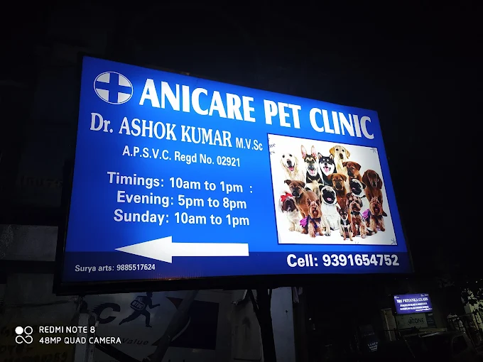 Anicare Pet Clinic, Sri Nagar Colony - Pet Clinic in Sri Nagar Colony, Hyderabad