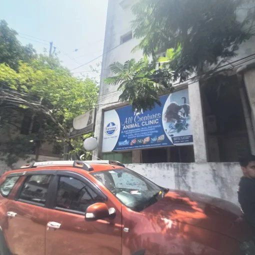 All Creatures Animal Clinic, East Marredpally - Pet Clinic in East Marredpally, Hyderabad