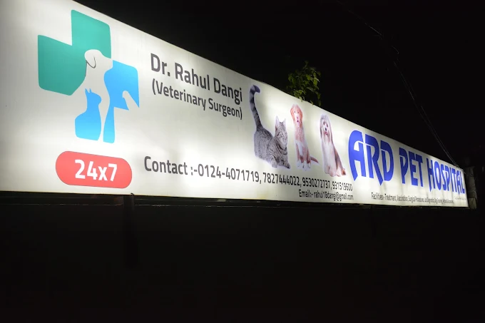Ard Pet Hospital Veterinary Clinic in Sector 56, Gurugram — Entrance/Facility Photo