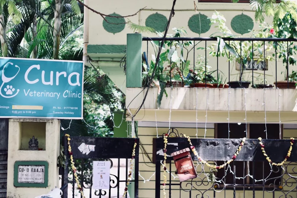 Cura Veterinary Clinic Veterinary Clinic in Dilsukhnagar, Hyderabad — Entrance/Facility Photo