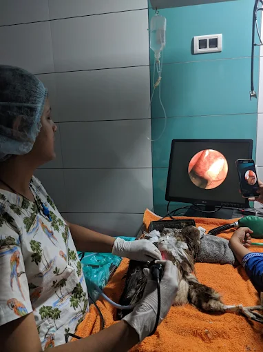 Dr Rina Dev’s Animal & Bird Clinic Veterinary Clinic in Khar West, Mumbai — Facility Photo 2