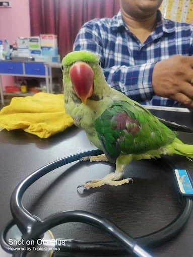 Dr. SK Naiar Badsha Veterinary Clinic in Tiljala, Kolkata — Facility Photo 4