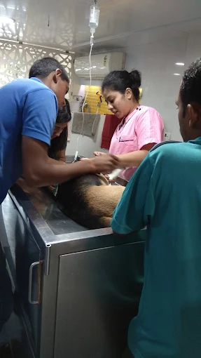 Dr.Hitesh Swali’s Animal Care Centre, Andheri West Veterinary Clinic in Mumbai — Facility Photo 2