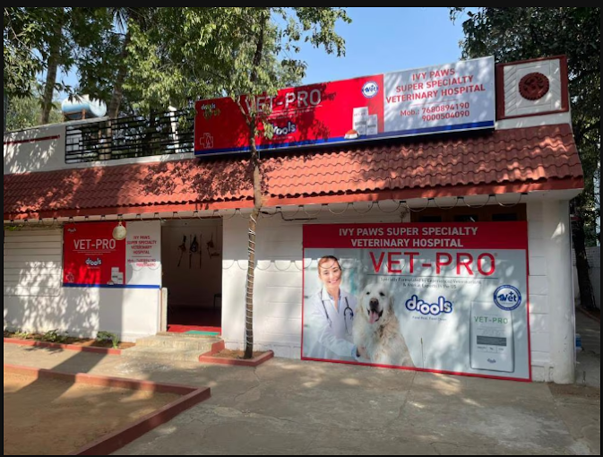 Ivy Paws Super Specialty veterinary Hospital, Sainikpuri - Pet Clinic in Sainikpuri, Hyderabad