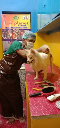 Paw Planet, Shyam Bazar Veterinary Clinic in Shyam Bazar, Kolkata — Facility Photo 2