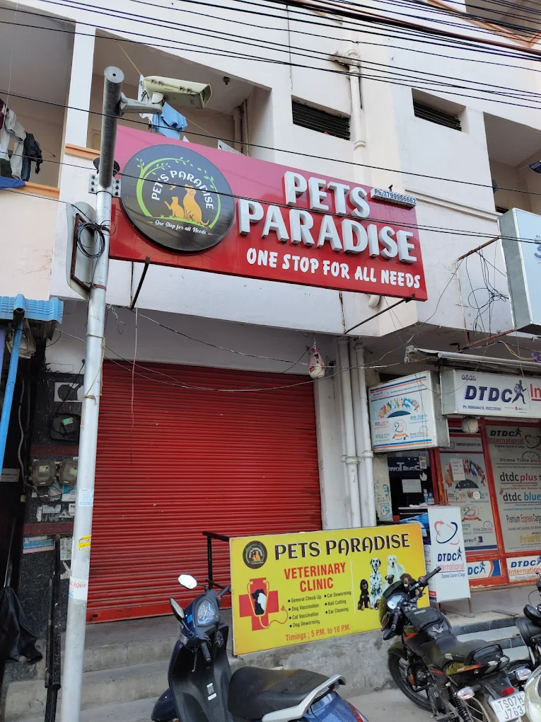 Pets Paradise Veterinary Clinic, Dilsukhnagar - Pet Clinic in Dilsukhnagar, Hyderabad