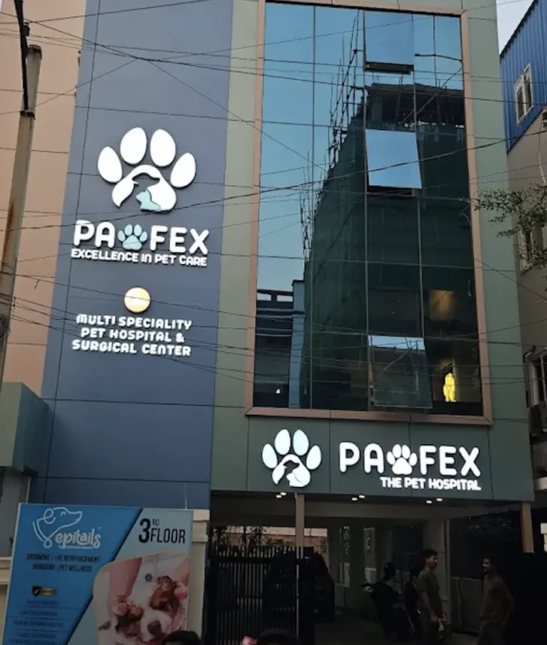 Pawfex Multispeciality Pet Hospital - Pet Clinic in Jeedimetla, Hyderabad