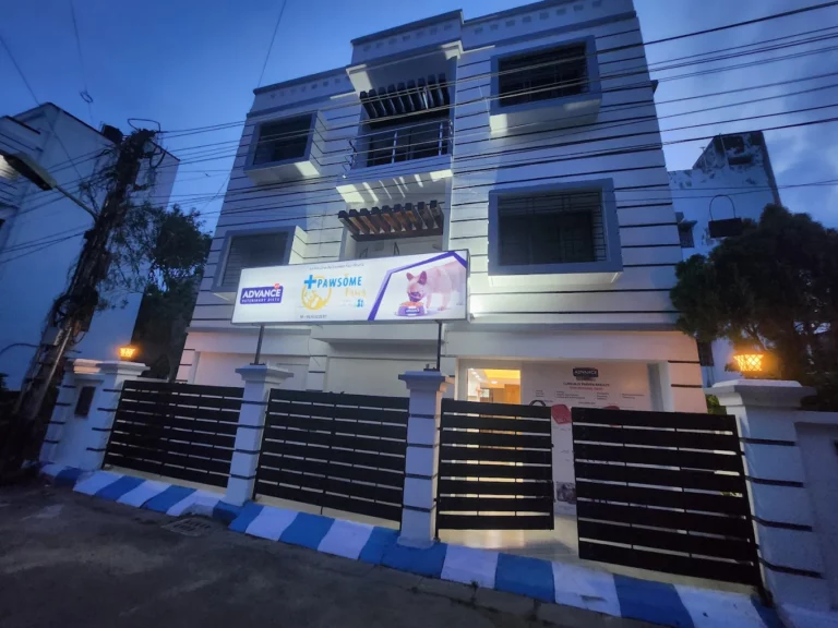 Pawsome Paws - Pet Clinic in Ballygunge, Kolkata