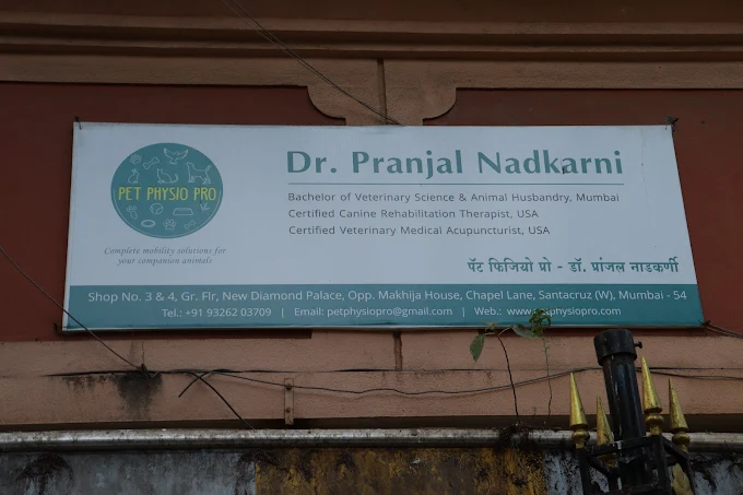 Pet Physio Pro Veterinary Clinic in Khar West, Mumbai — Entrance/Facility Photo
