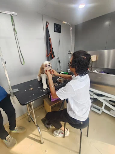 PetZone Multi Speciality Animal Health Care, Powai Veterinary Clinic in Powai, Mumbai — Facility Photo 7