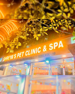 Shreya’s Pet Clinic & Spa - Pet Clinic in Beleghata, Kolkata