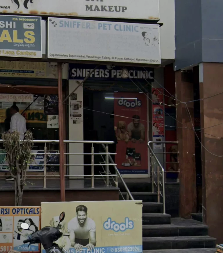 Sniffers Pet Clinic - Pet Clinic in Kothapet, Hyderabad