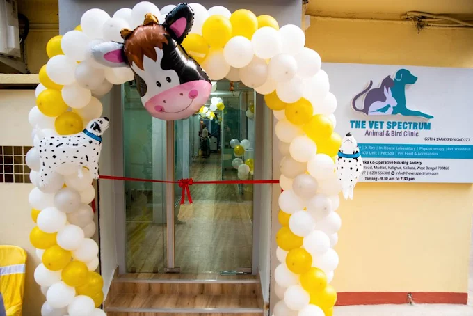 The Vet Spectrum Animal & Bird Clinic - Pet Clinic in Kalighat, Kolkata