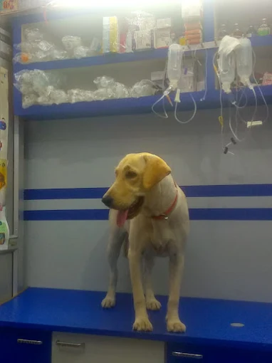 Vet Aid Unit 2 Veterinary Clinic in Salkia, Kolkata — Facility Photo 2