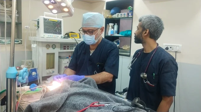 Zigly Petcare 24×7 Multi-Speciality Pet Hospital Veterinary Clinic in Khar West, Mumbai — Facility Photo 5