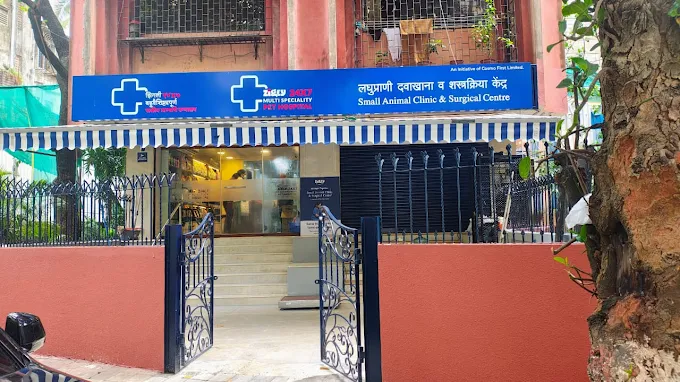 Zigly Petcare 24x7 Multi-Speciality Pet Hospital - Pet Clinic in Khar West, Mumbai