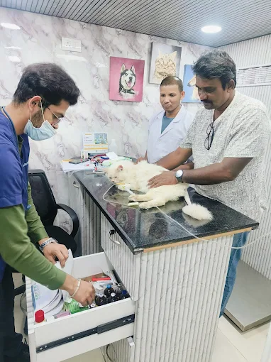 Myraplus Pet Health care Veterinary Clinic in Pant Nagar, Mumbai — Facility Photo 2