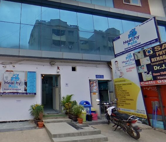 Healthy Pets Animal Hospital, Secunderabad - Pet Clinic in Kompally, Hyderabad