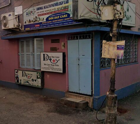 Dog Day Care, Selimpur - Pet Clinic in Selimpur, Kolkata