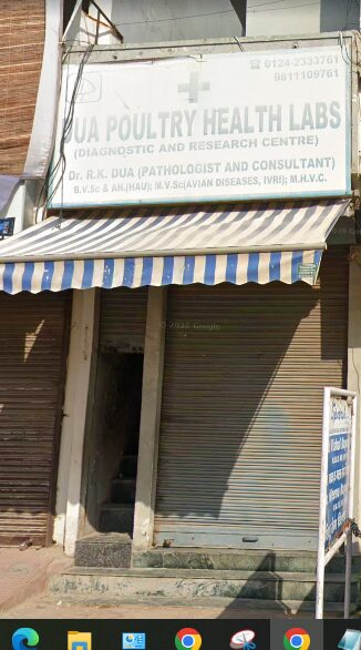 Dua Poultry Health Lab - Pet Clinic in Sector 6, Gurugram