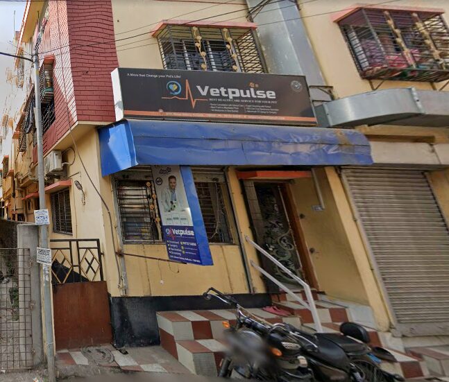 Vet Pulse - Pet Clinic in Regent Estate, Kolkata