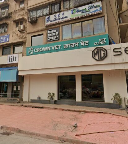 Crown Vet Worli - Pet Clinic in Worli, Mumbai