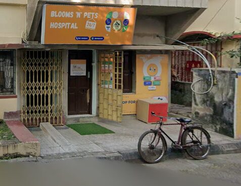 Blooms 'N' Pets Multispeciality Pet Hospital - Pet Clinic in Santoshpur, Kolkata