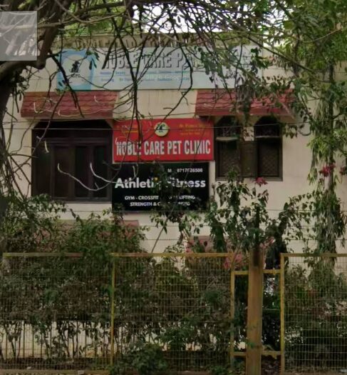 Noble care pet clinic, Sector 22 - Pet Clinic in Sector 22, Gurugram